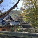 가을코스2 이미지