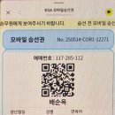 백령도 궁도수업 이야기 이미지