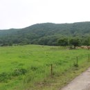 신우목장 이미지