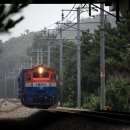 G1681 이미지