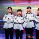 플랜피아주 게임포커스
