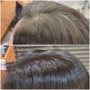 수석한의원 | 건대미용실 뿌리염색 새치염색 후기 / 준오헤어 건대역2호점 혜진 수석실장