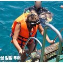 참투어