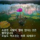 💜 60년대 여배우 문희,남정임,윤정희⚘ 이미지