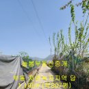 늘봄부동산중개 이미지