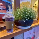 대신연쇄점 이미지