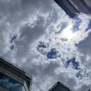 4키로도 뽑았는데, 4그램쯤이야... 발치 후기(수유숙면치과 임플란트 치료기 2탄)