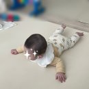 (주)새보람메디칼 | [일상] 새 학기에 쓰는 새해 일기