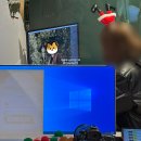 영할인마트 | 롯데타운 크리스마스 마켓_패스트 패스 후지필름 1주차_첫날_혼자_올리브영_팝마트_25.11.20 방문 후기