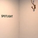 스폿라이트 이미지