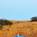 짬뽕생각 - 충주시 첨단산업로 192-3 | 짬뽕생각