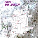 개화야