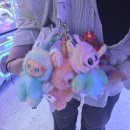 지에스25 울산중구함월점 | 진짜로 끝나버렸어 2025