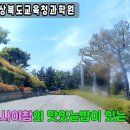 사이참식당 이미지