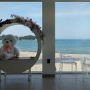 문암2리해변 이미지