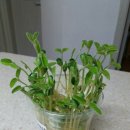 상무태권스쿨 이미지