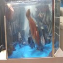 티지코리아 이미지