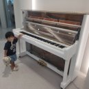 박수현피아노음악학원 이미지