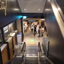 양지-3575 | 압구정 갤러리아 백화점 맛집 총 정리