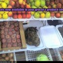 과일가게 이미지