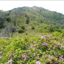 겸백면사무소 이미지