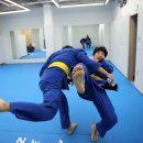 용인대 선샤인 유도 이미지