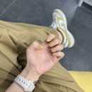 스테이 펫 살롱 이미지