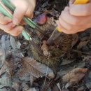 밤나무골 농장 이미지