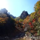 설악산 흘림골 단풍산행 이미지