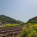 파라다랑스