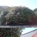 춤으로의 여행 이미지