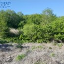 대구지방법원 영덕지원 이미지