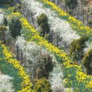 공곶이가는길 이미지