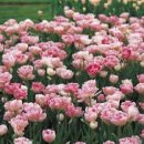 화성센트럴파크 도서관 이미지