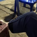 급한 불은 다 껐다! 본격 호치민 적응기
