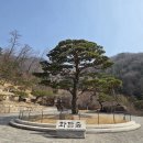 빛의 정원 - 20 | 화담숲 봄 산책 후기, 테마정원 따라 천천히 걷기 좋은 힐링 명소