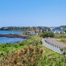 애월의온도 이미지