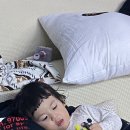 파니팡니