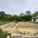 삼막골카라반펜션 이미지