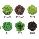 (주)팜한농 - 논산시 | (주)팜한농