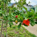 도담셀프주유소 이미지