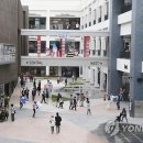 펫아울렛 이미지