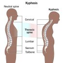 엠씨피트니스 (동래점) 이미지