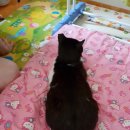 그루밍친친 이미지