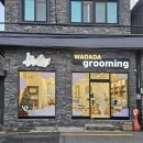 그루밍펫 | (와다다 펫 그루밍) 연산동 강아지 미용실 추천 ▪︎ 4개월 강아지 때부터 꾸준히 다니는 미용실 후기