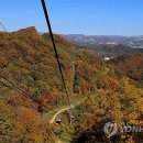 상경목장 이미지