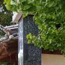 산남의진 정대장 양 이미지