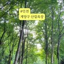 임학공원 출렁다리 이미지