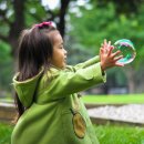 나무와 숲 이미지