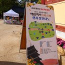 푸름2교 옆 공원 | 충북 단풍명소 속리산 2025 법주사 가을 국화향연 국화축제 가는길